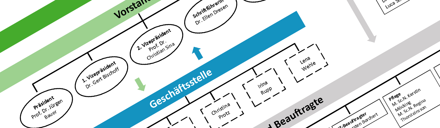 Organigramm der DGEM